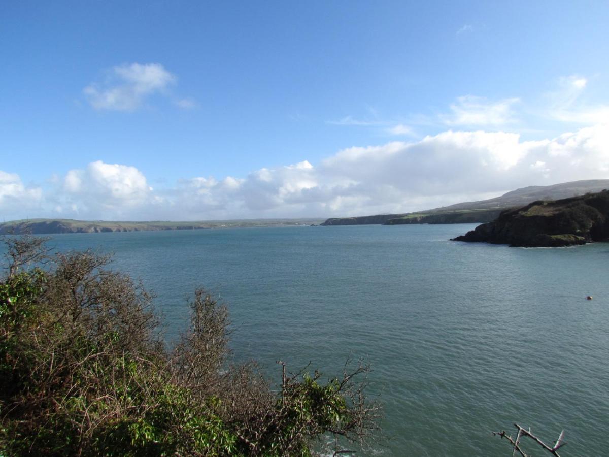 Ty Nain, Newport, Pembrokeshire Villa Newport  Exterior foto